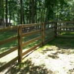 Privacy Fences 4